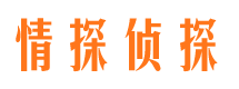 江东调查公司